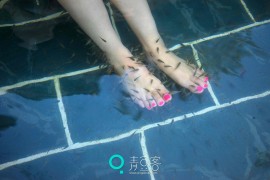[QingDouKe青豆客] 2014.11.07 宛恩miyu