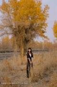 [Kimoe激萌文化] 2016.12.26 Vol.011 之应 沙漠之旅