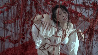 云溪溪 NO.020 奶桃 囚鸟