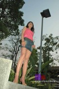 [Beautyleg] 2005.05.05 No.013 Ting