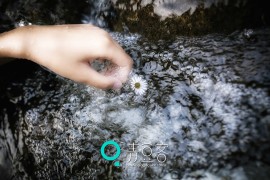 [QingDouKe青豆客] 2015.02.05 徐畅