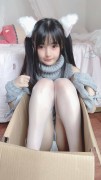 桜井宁宁 NO.016 白い猫ちゃん