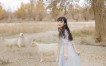 [Kimoe激萌文化] 2016.12.26 Vol.011 之应 沙漠之旅