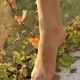 [IESS异思趣向] 2016.10.13 丝足便当016：《阳光下的罂粟花》SASA