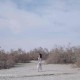 [Kimoe激萌文化] 2016.12.29 Vol.012 周闻 球球篝火取暖