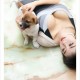 《TuiGirl推女郎》影像月刊 2013.01.22 NO.003 潘春辉