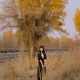 [Kimoe激萌文化] 2016.12.26 Vol.011 之应 沙漠之旅
