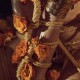 云溪溪 NO.007 花与绳