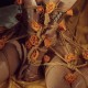 云溪溪 NO.007 花与绳