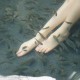 [TGOD推女神] 2016.01.13 御水温泉旅拍 邓雪Sweet 第二刊