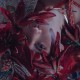 云溪溪 NO.007 花与绳