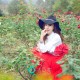 [QingDouKe青豆客] 2014.12.17 伊伊