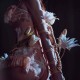 云溪溪 NO.007 花与绳