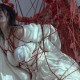 云溪溪 NO.020 奶桃 囚鸟